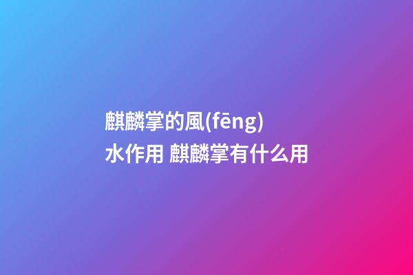 麒麟掌的風(fēng)水作用 麒麟掌有什么用